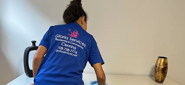 house cleaning services in Chicago